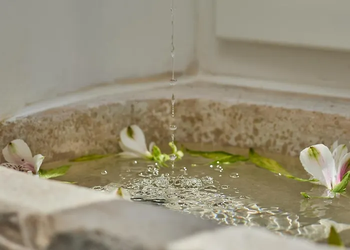 Bota Palace 4* Dubrownik